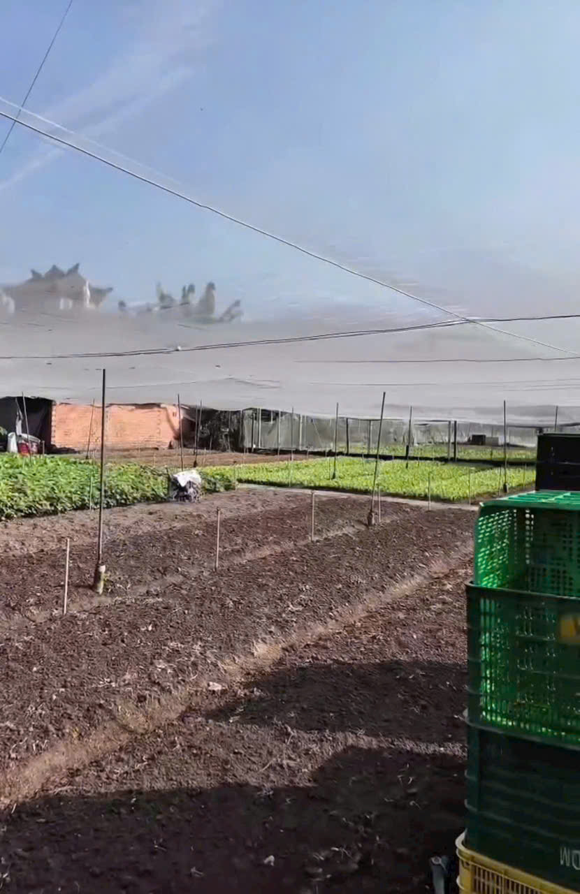 CCG ĐẤT TÂN HIỆP HÓC MÔN – SÁT CẠNH KHU BIỆT THỰ – GIÁ CHỈ 10TR/M² 15977391