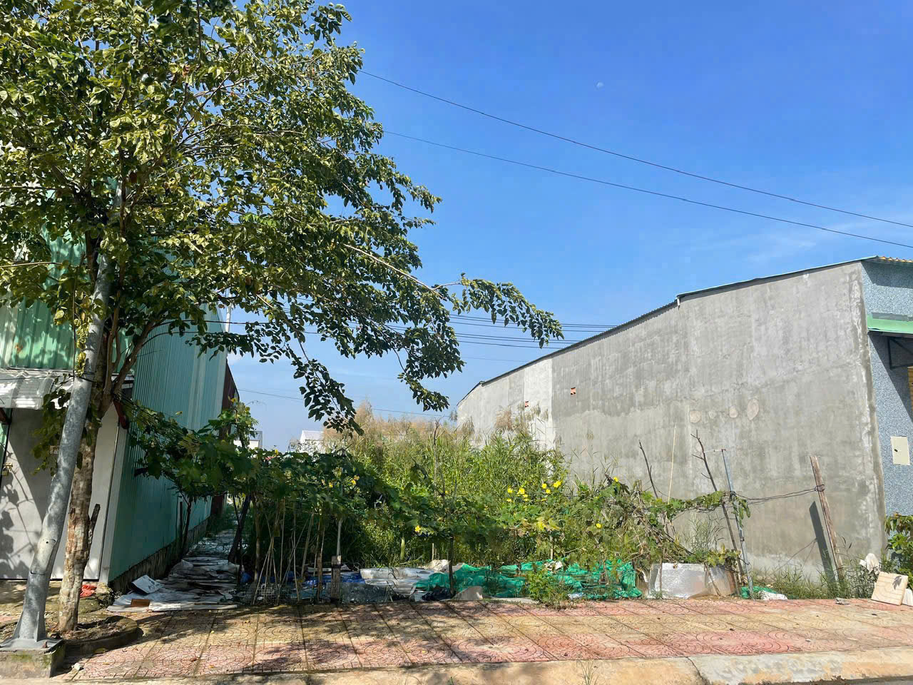 HOT ! BÁN SIÊU PHẨM ĐẤT ĐẸP - Phù Hợp Cho Mọi Gia Đình 15977523