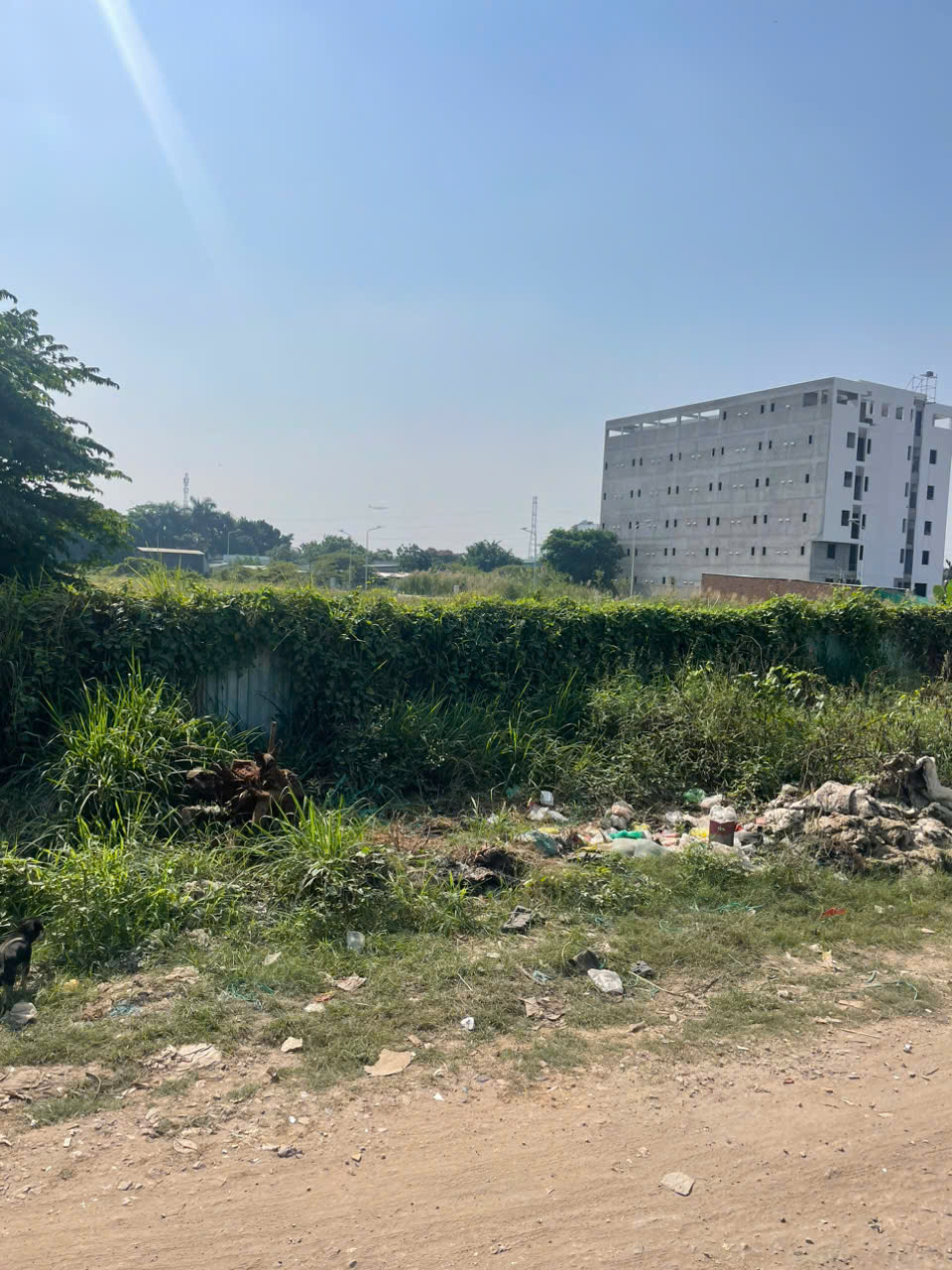 SIÊU PHẨM ĐẤT MẶT TIỀN RẠCH VƯỜN LÀI, Q.12 GẦN QL1A – DT KHỦNG – THỔ CƯ GẦN 3.000m² 15977528