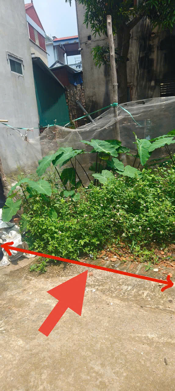 Tin được không? 45m đất Kim Hoa, Mê Linh, full thổ cư, đường rộng, oto đỗ mà giá chỉ 1,95 tỷ 15977563