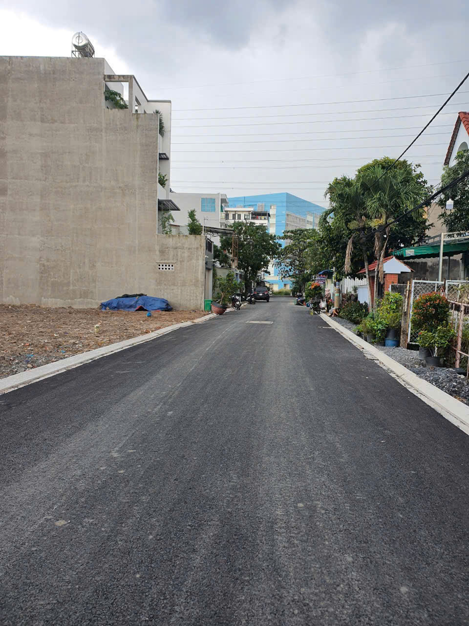 Đất (4x20) hẻm 6m Trần Thị Năm, Quận 12 Giá Rẻ (Ngay trường Sơn Ca 5) 15977654