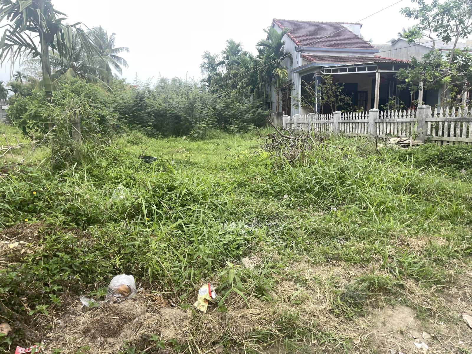 Bán đất kiệt Nguyễn Tri Phương 519,3m2 full thổ cư, cách 10m ra đường chính, giá 6.9 tỷ 15977692