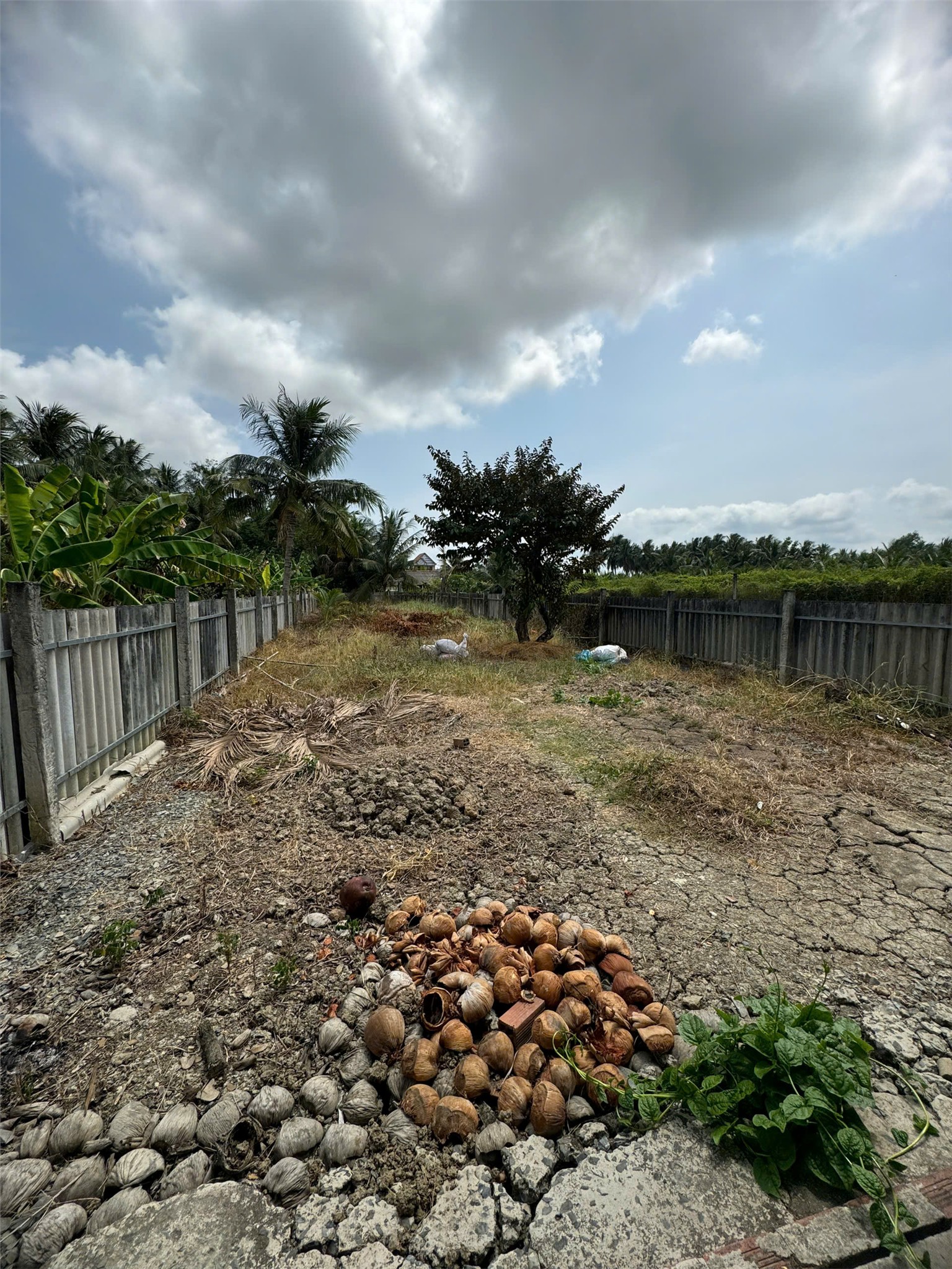 NHÀ MẶT TIỀN – GIÁ TỐT  – CHÍNH CHỦ CẦN BÁN tại ấp Thới An A - xã Long Vĩnh- Gò công Tây 15977733