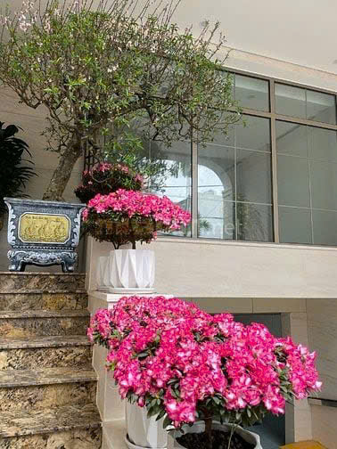 CHÍNH CHỦ CHO THUÊ NHÀ SỐ PHỐ PHÚ VIÊN, PHƯỜNG BỒ ĐỀ, LONG BIÊN, HN 15977749