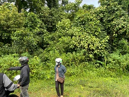 ► BÁN 1.8HA ĐẤT NÔNG NGHIỆP – CÓ SẴN DÒNG TIỀN 500TR/NĂM 15977757