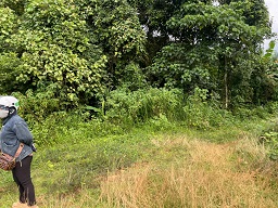 ► BÁN 1.8HA ĐẤT NÔNG NGHIỆP – CÓ SẴN DÒNG TIỀN 500TR/NĂM 15977757