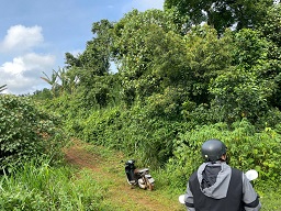 ► BÁN 1.8HA ĐẤT NÔNG NGHIỆP – CÓ SẴN DÒNG TIỀN 500TR/NĂM 15977757