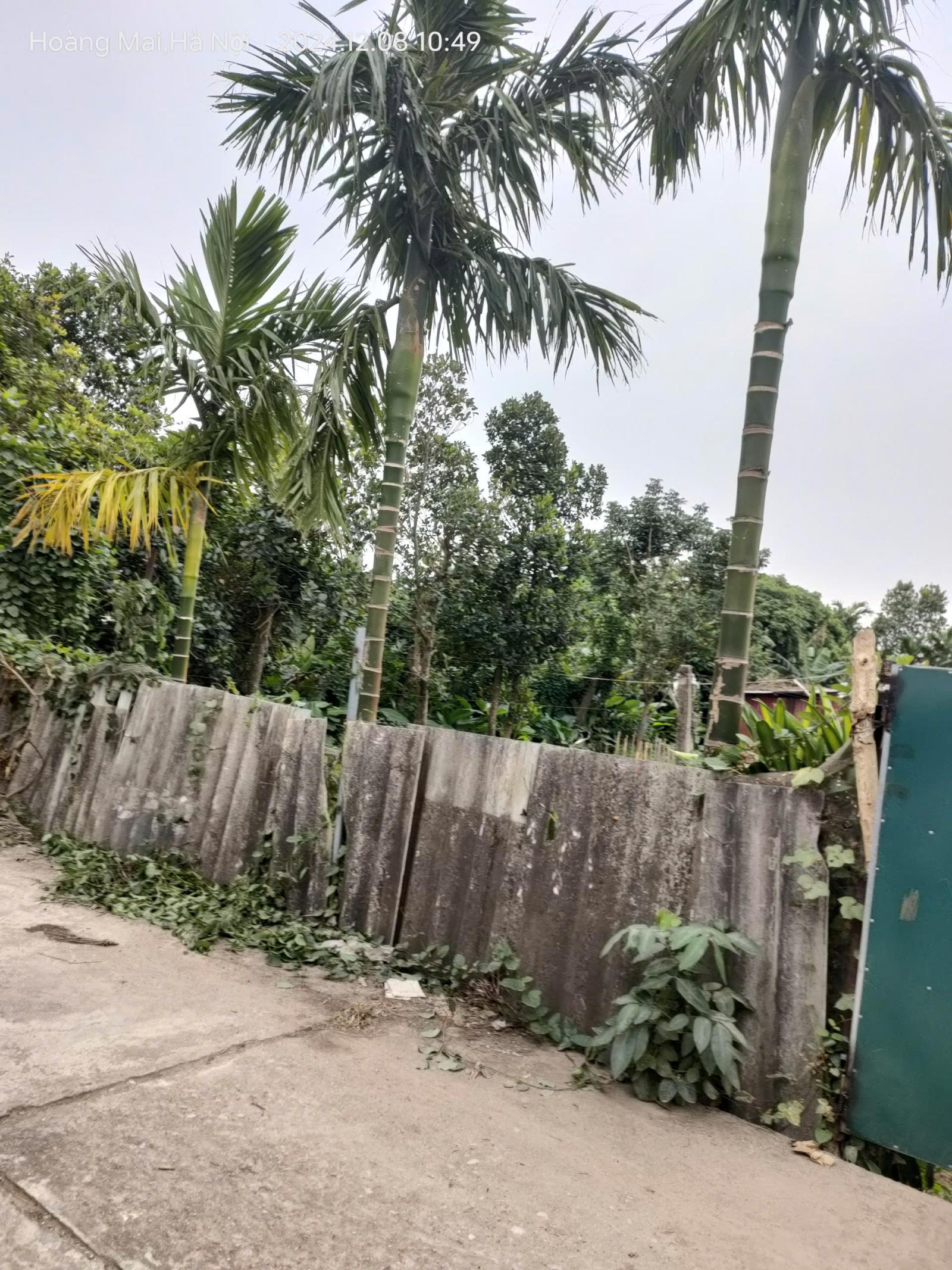 Bán gấp giá rẻ nhà, đất Chương Dương 767m, cấp 4, mặt tiền 14m, 2 tỷ Thường Tín. 15977789