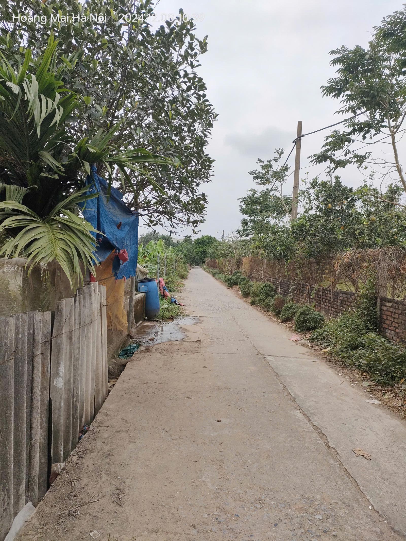 Bán gấp giá rẻ nhà, đất Chương Dương 767m, cấp 4, mặt tiền 14m, 2 tỷ Thường Tín. 15977789
