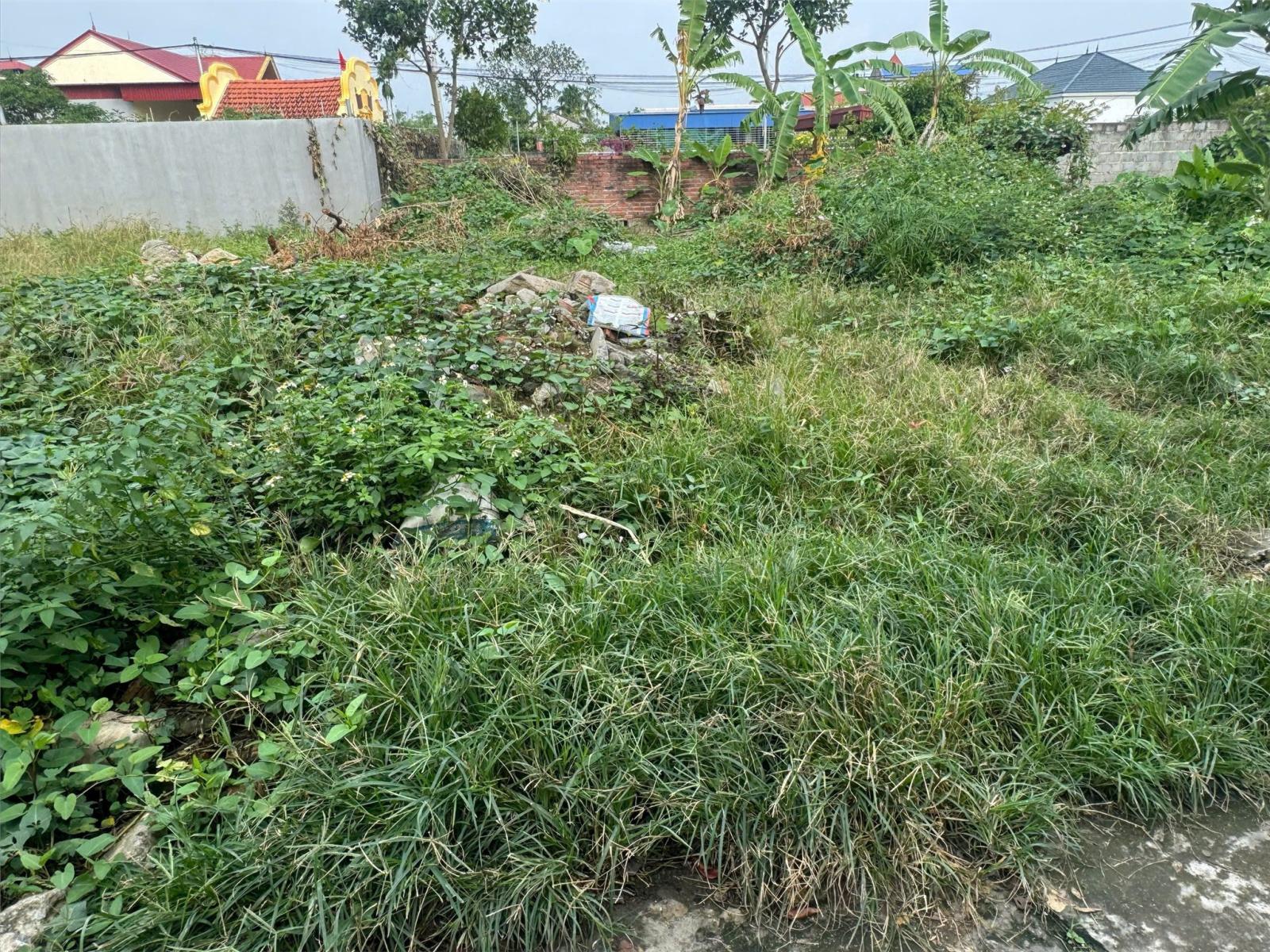 ĐẤT CHÍNH CHỦ - GIÁ TỐT TDP Hà Đỗ 2, Phường Hồng Phong, Quận An Dương, TP Hải Phòng 15977798