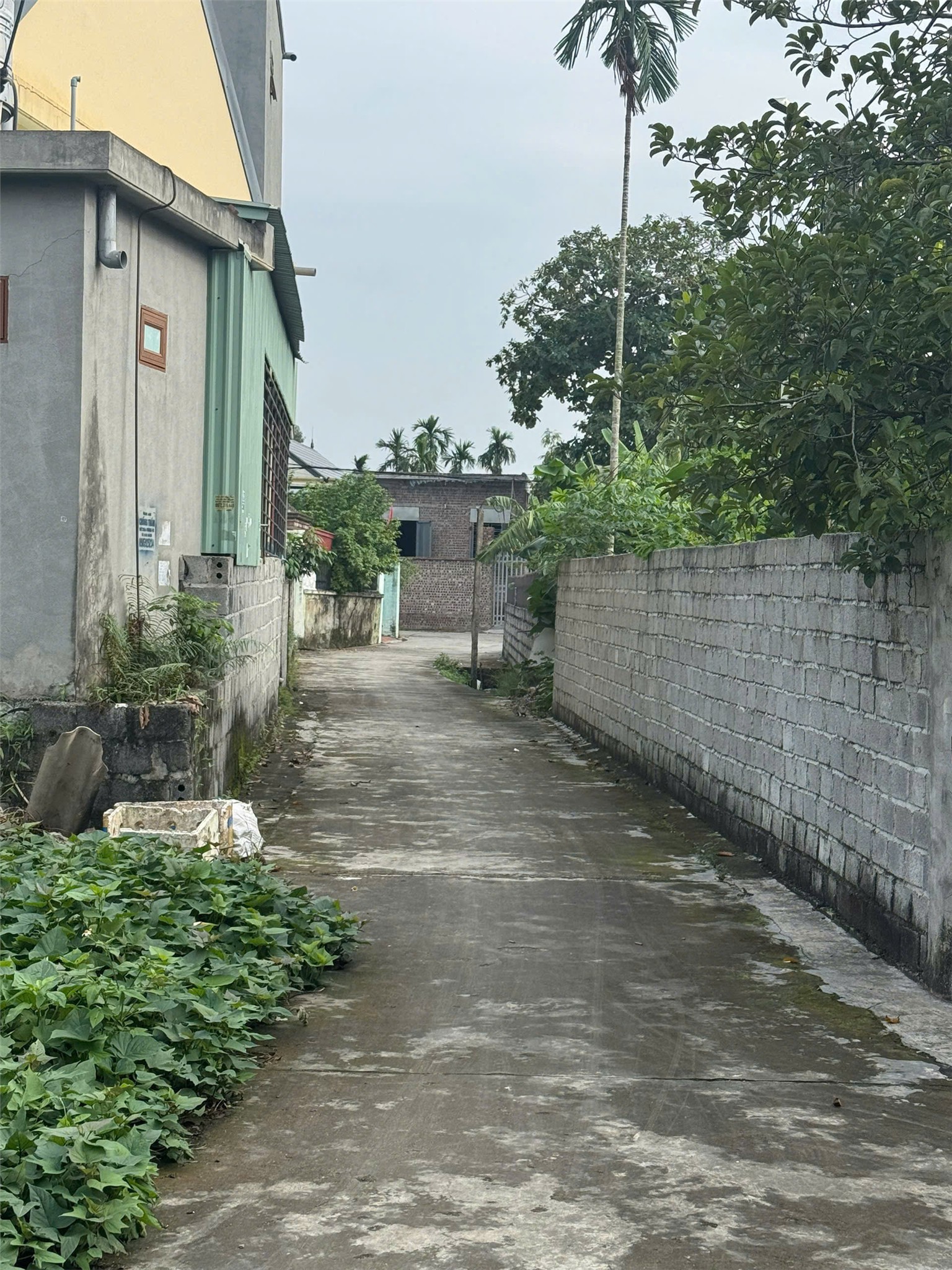 ĐẤT CHÍNH CHỦ - GIÁ TỐT TDP Hà Đỗ 2, Phường Hồng Phong, Quận An Dương, TP Hải Phòng 15977798