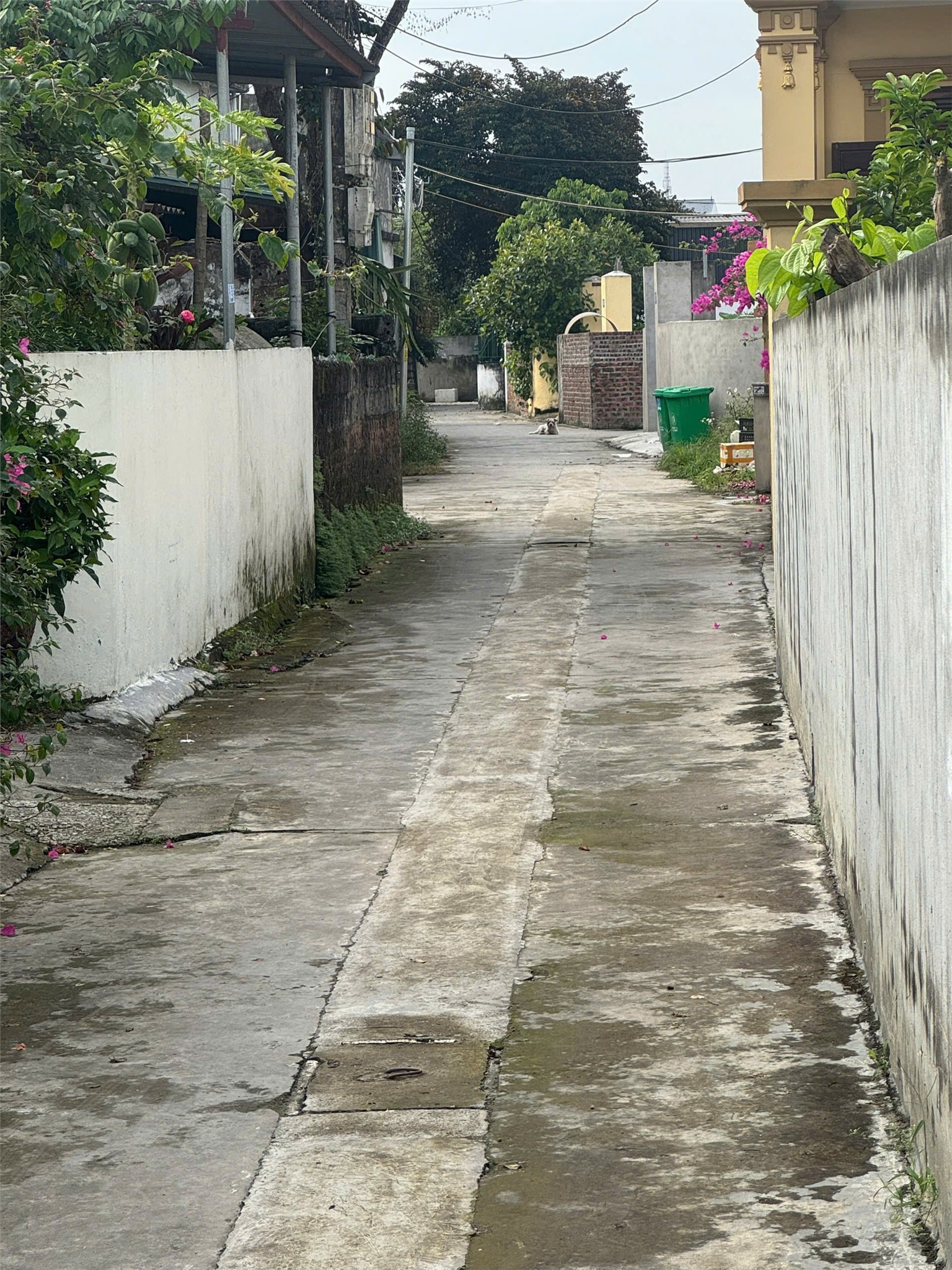 ĐẤT CHÍNH CHỦ - GIÁ TỐT TDP Hà Đỗ 2, Phường Hồng Phong, Quận An Dương, TP Hải Phòng 15977798