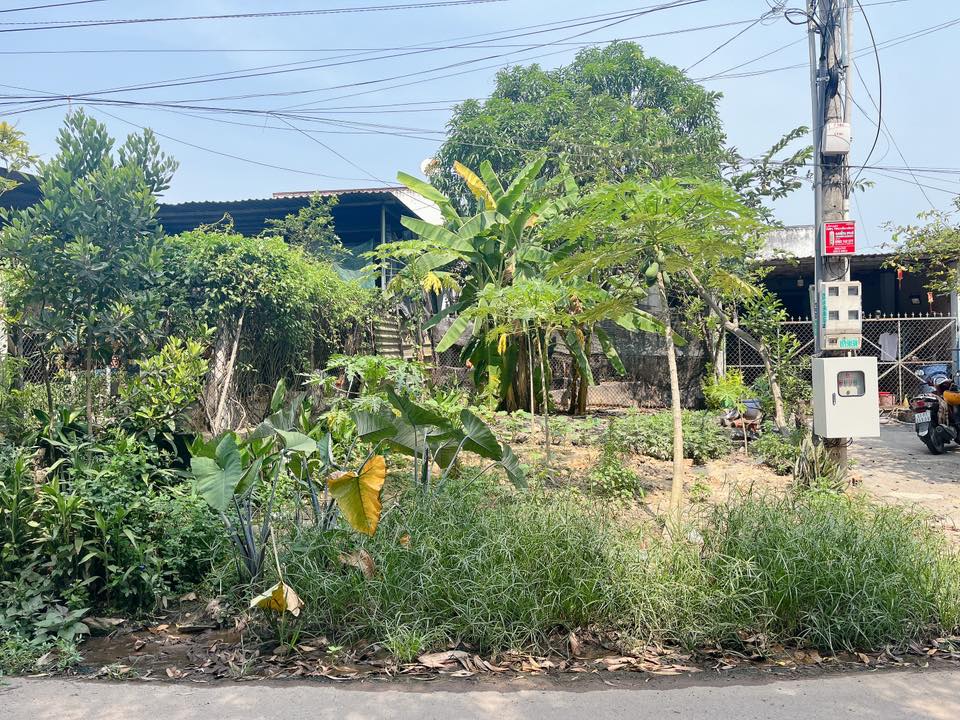 Chính chủ bán gấp đất giá tốt tại Chánh Phú Hoà, Bến Cát. 15977874