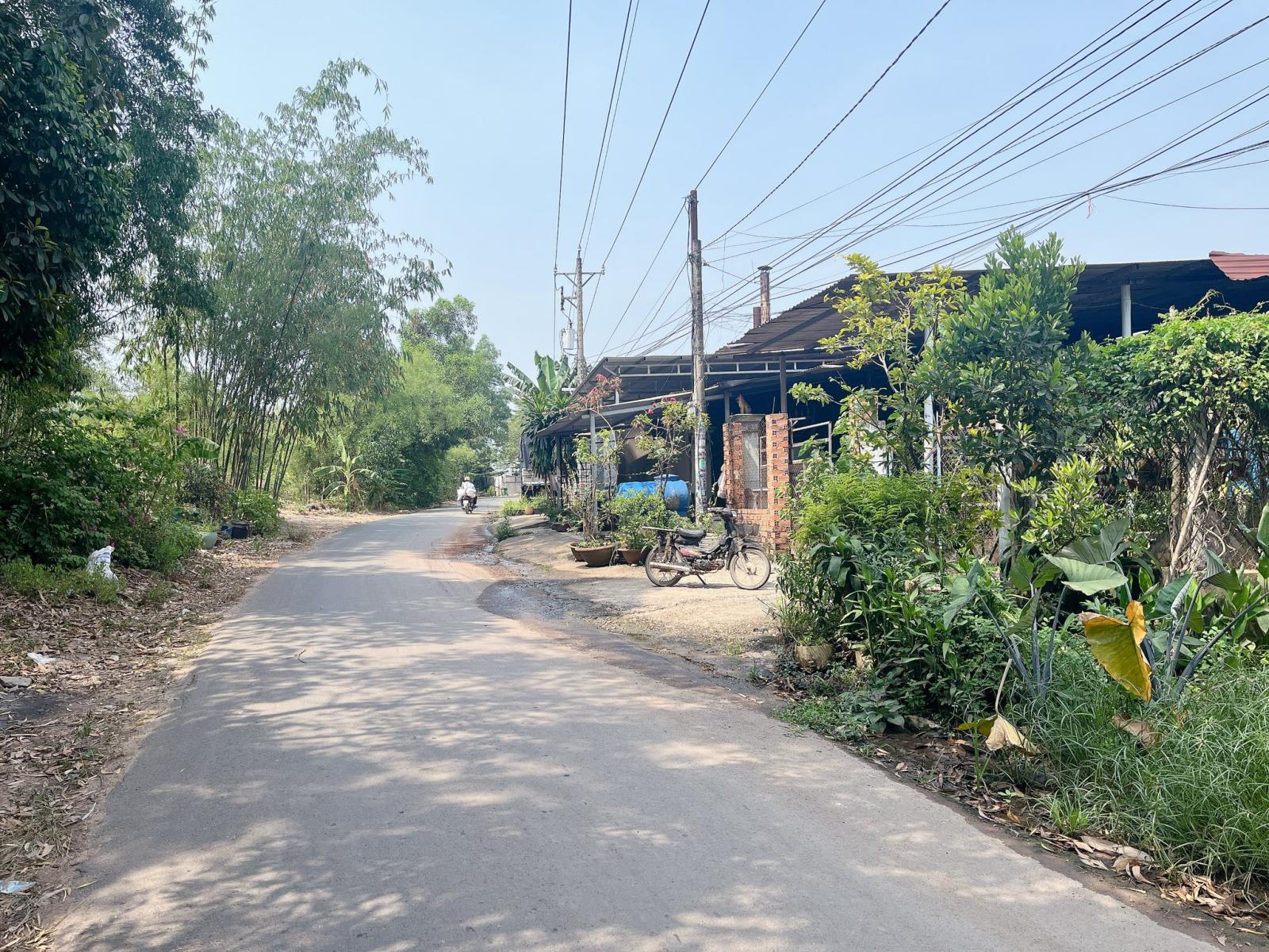 Chính chủ bán gấp đất giá tốt tại Chánh Phú Hoà, Bến Cát. 15977874