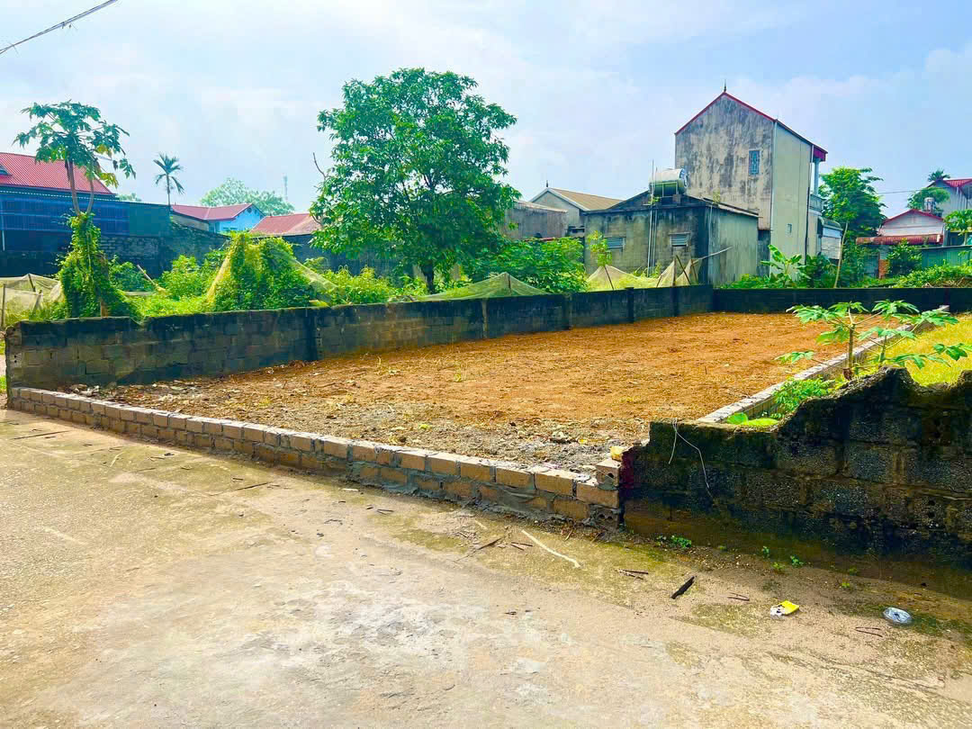 HOT !!! SỞ HỮU NGAY LÔ ĐẤT TÁI ĐỊNH CƯ - GIÁ TỐT - Vị Trí Đắc Địa Tại Chương Mỹ, TPHN 15977972