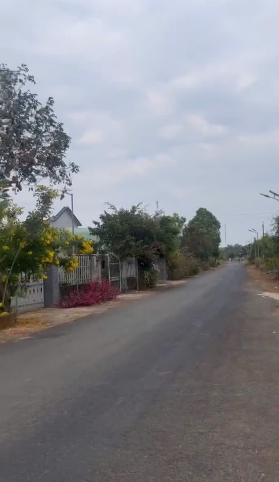 ĐẤT ĐẸP CHÍNH CHỦ – CẦN BÁN TẠI Ấp 3, Xã Thanh Hòa, Huyện Bù Đốp, Bình Phước 15978009