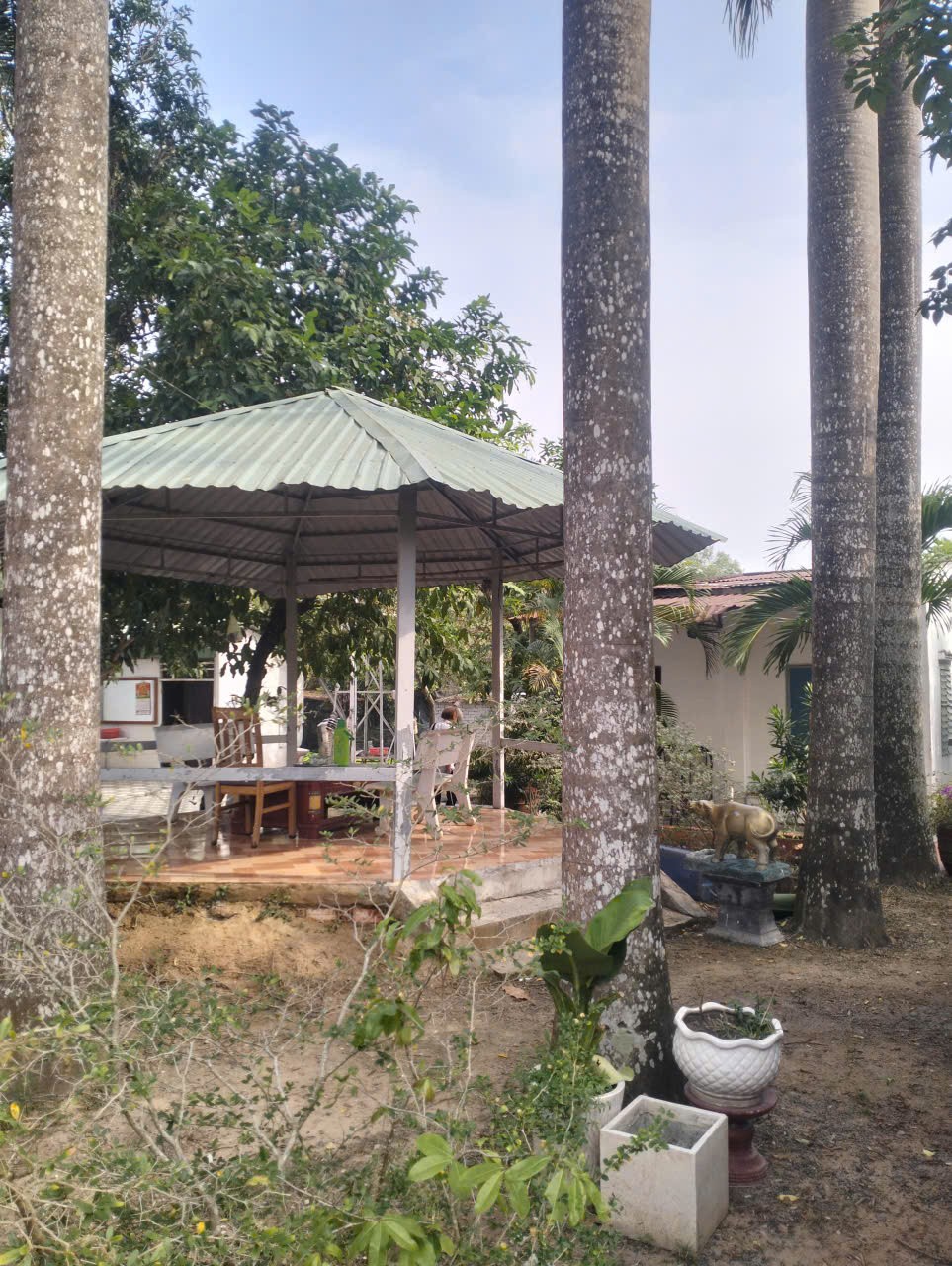 HOT HOT – CẦN BÁN NHÀ XƯỞNG  Lê Minh Xuân Huyện B, Lê Minh Xuân, Bình Chánh, HCM 15978008