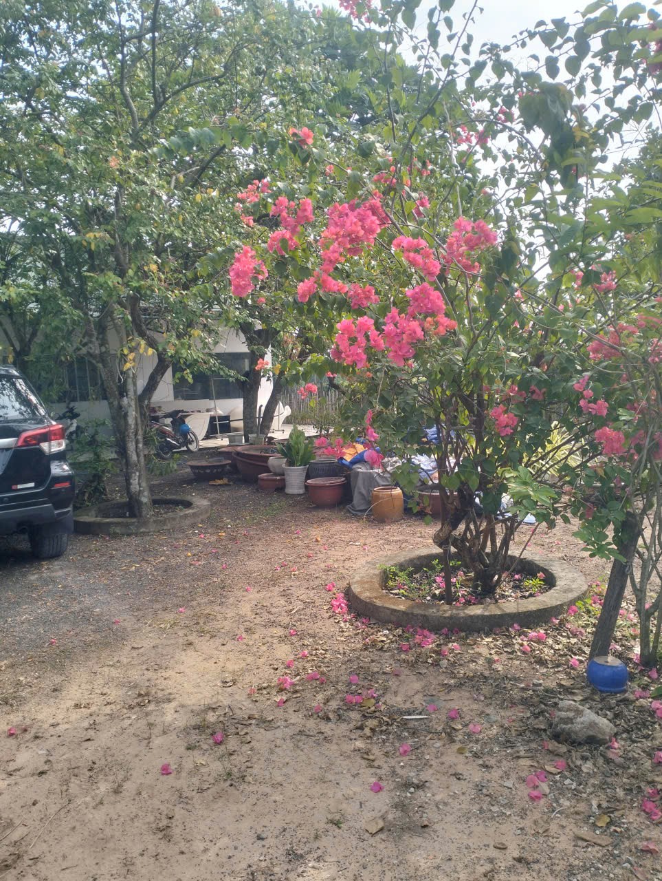 HOT HOT – CẦN BÁN NHÀ XƯỞNG  Lê Minh Xuân Huyện B, Lê Minh Xuân, Bình Chánh, HCM 15978008