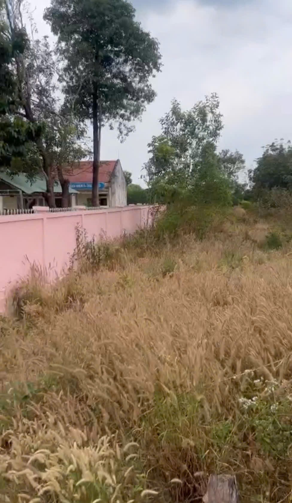 ĐẤT ĐẸP CHÍNH CHỦ – CẦN BÁN TẠI Ấp 3, Xã Thanh Hòa, Huyện Bù Đốp, Bình Phước 15978016