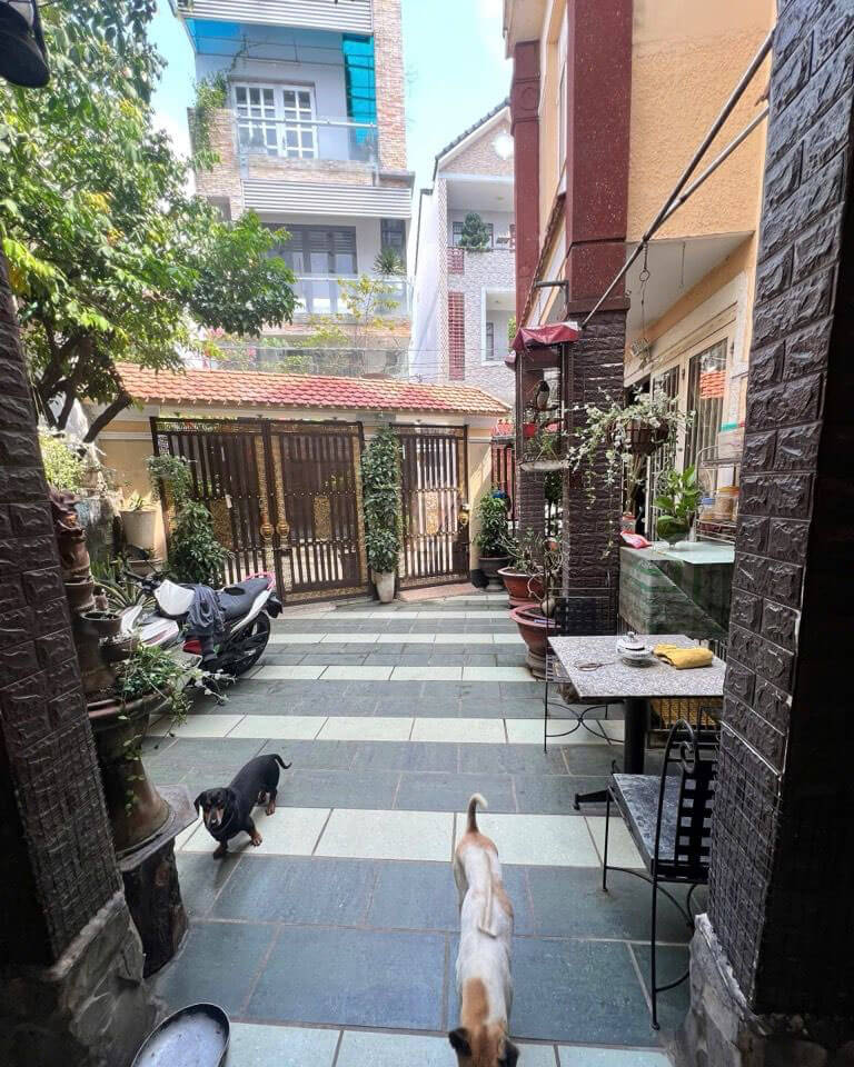 Bán Nhà Phố Nguyễn Văn Quỳ Quận 7 - 134m2 - Ngang 11.3m - HXH - Giá 12.5 Tỷ 15978032