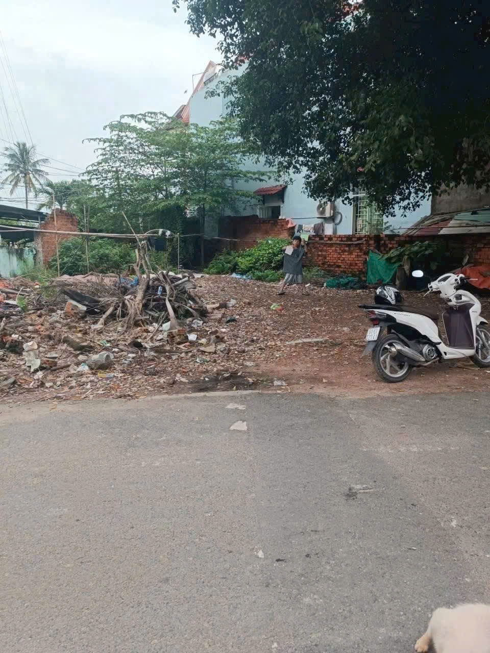 CHÍNH CHỦ CẦN BÁN ĐẤT TẠI - PHƯỜNG  TÂN PHƯỚC KHÁNH, THỊ XÃ TÂN UYÊN, TỈNH BÌNH DƯƠNG 15978094