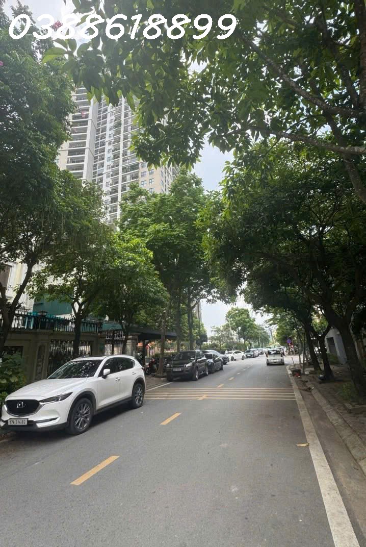 BÁN BIỆT THỰ ĐƠN LẬP SIÊU VIP DỊCH VỌNG 307Mx5T, MT 15M - KINH DOANH TỐT - GẦN CÔNG VIÊN CẦU GIẤY - 15978138