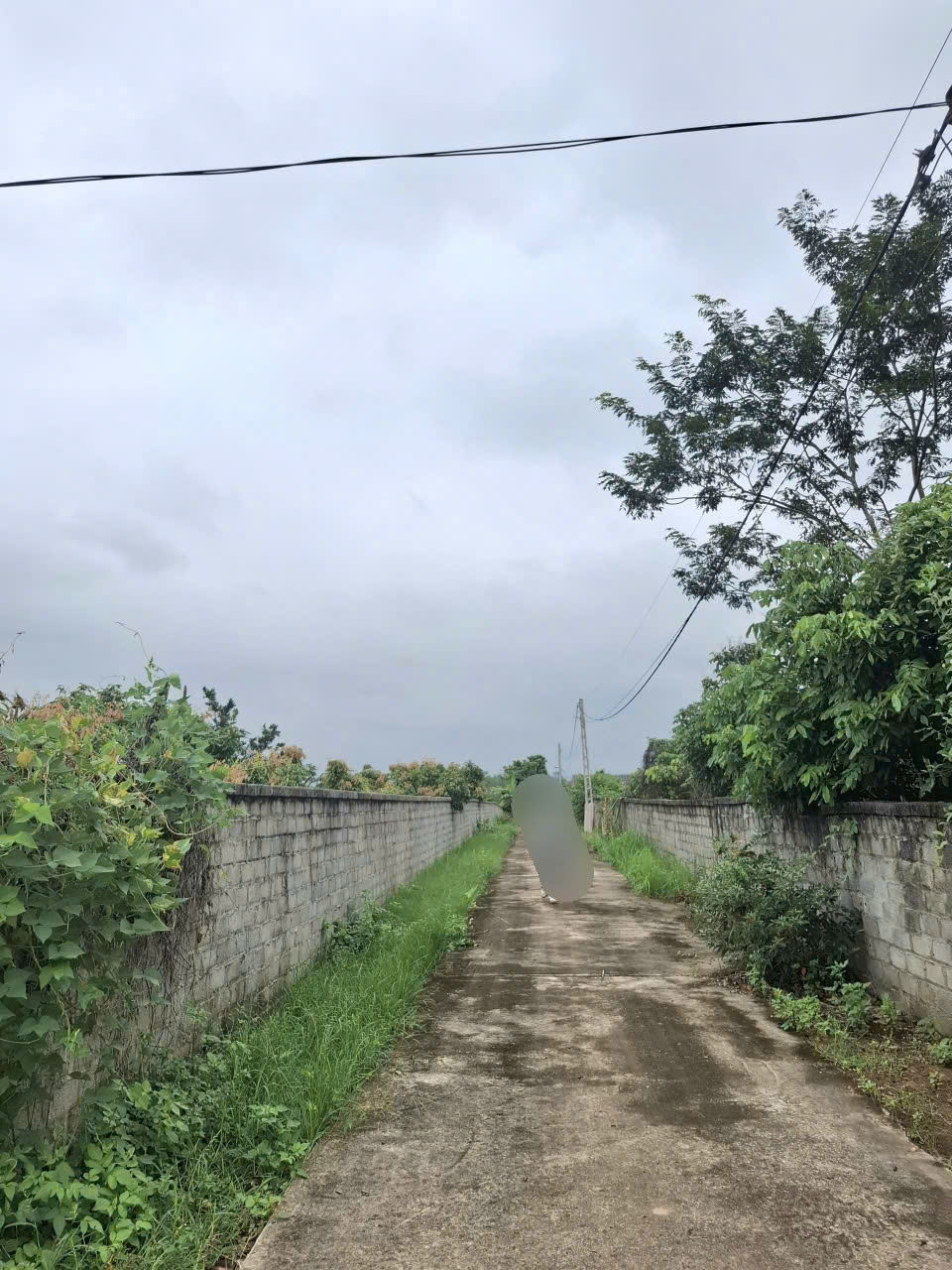 BÁN ĐẤT 2 MẶT TIỀN TRUNG TÂM – THỊ TRẤN CHŨ, LỤC NGẠN – DIỆN TÍCH LỚN 5.005,6m² 15978167