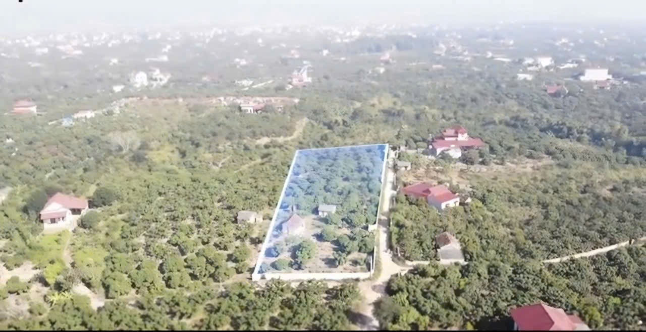 BÁN ĐẤT 2 MẶT TIỀN TRUNG TÂM – THỊ TRẤN CHŨ, LỤC NGẠN – DIỆN TÍCH LỚN 5.005,6m² 15978167