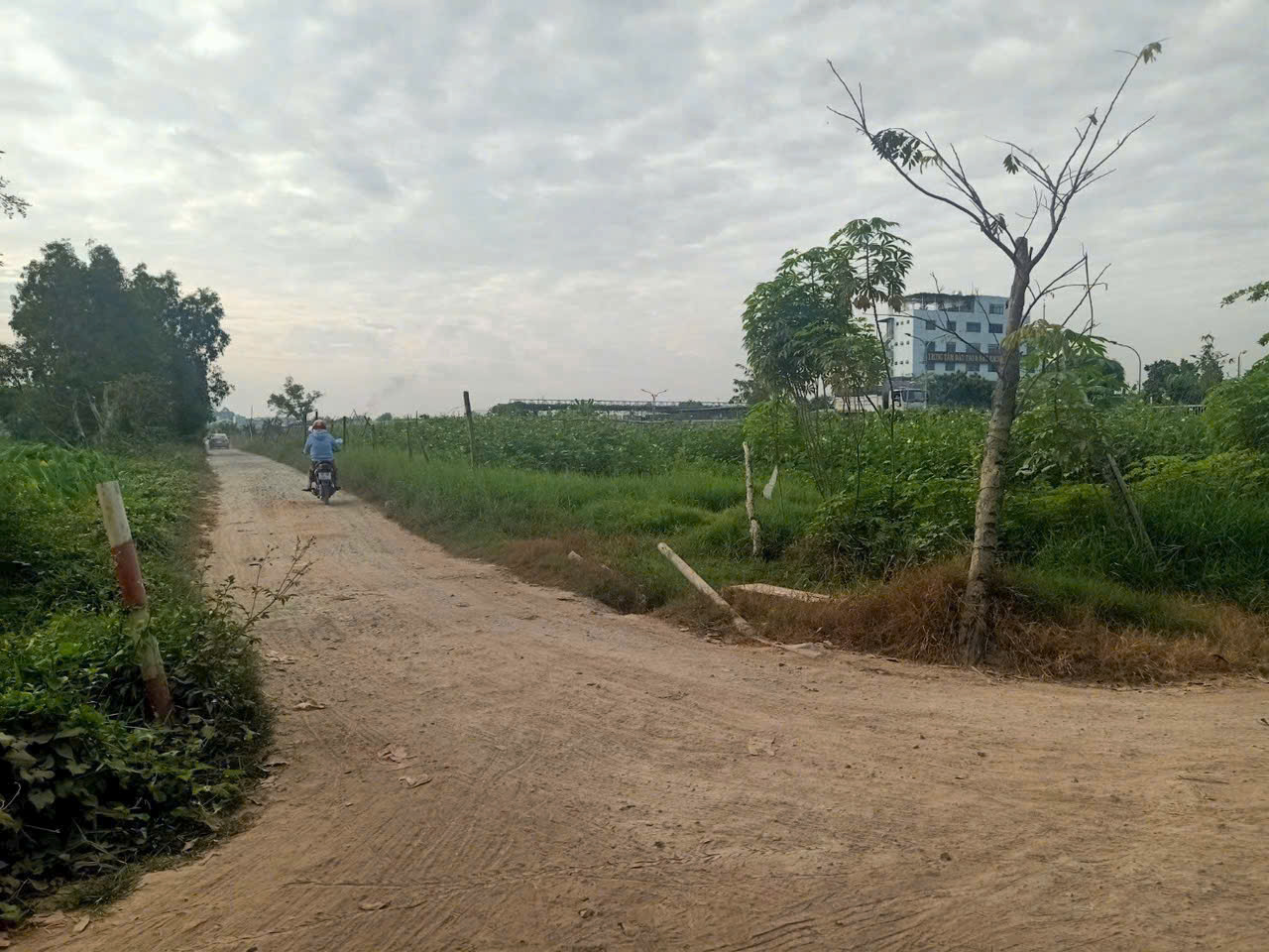 ĐẤT 3MT 1/ QL22, TÂN HIỆP, HÓC MÔN (5.000m²) NGAY TRƯỜNG LÁI & VÀNH ĐAI 3! 15978168