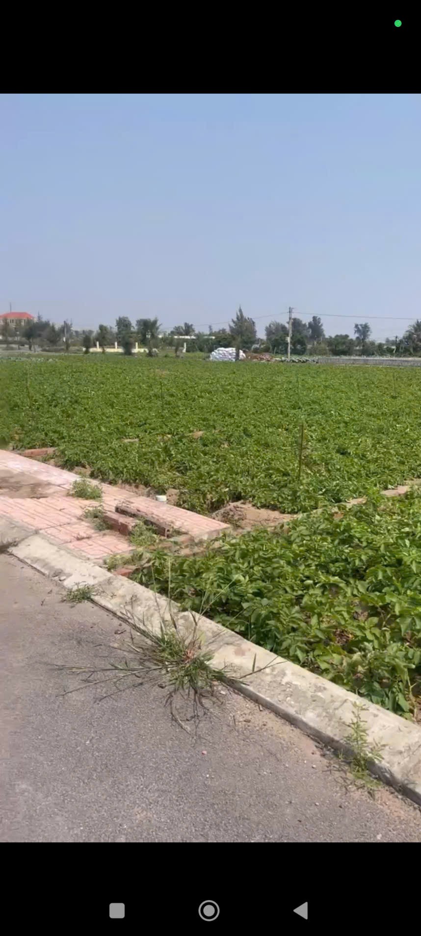 ĐẤT ĐẸP – GIÁ TỐT  – CHÍNH CHỦ CẦN BÁN NHANH LÔ ĐẤT TIỀM NĂNG tại huyện Giao Thủy, tỉnh Nam Định 15978289