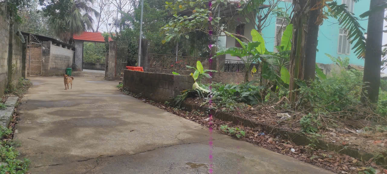 BÁN LÔ ĐẤT ĐẸP - GIÁ TỐT - Vị trí đẹp tại thôn Mai Xá, Gia Thuỷ, Nho Quan, Ninh Bình 15978332