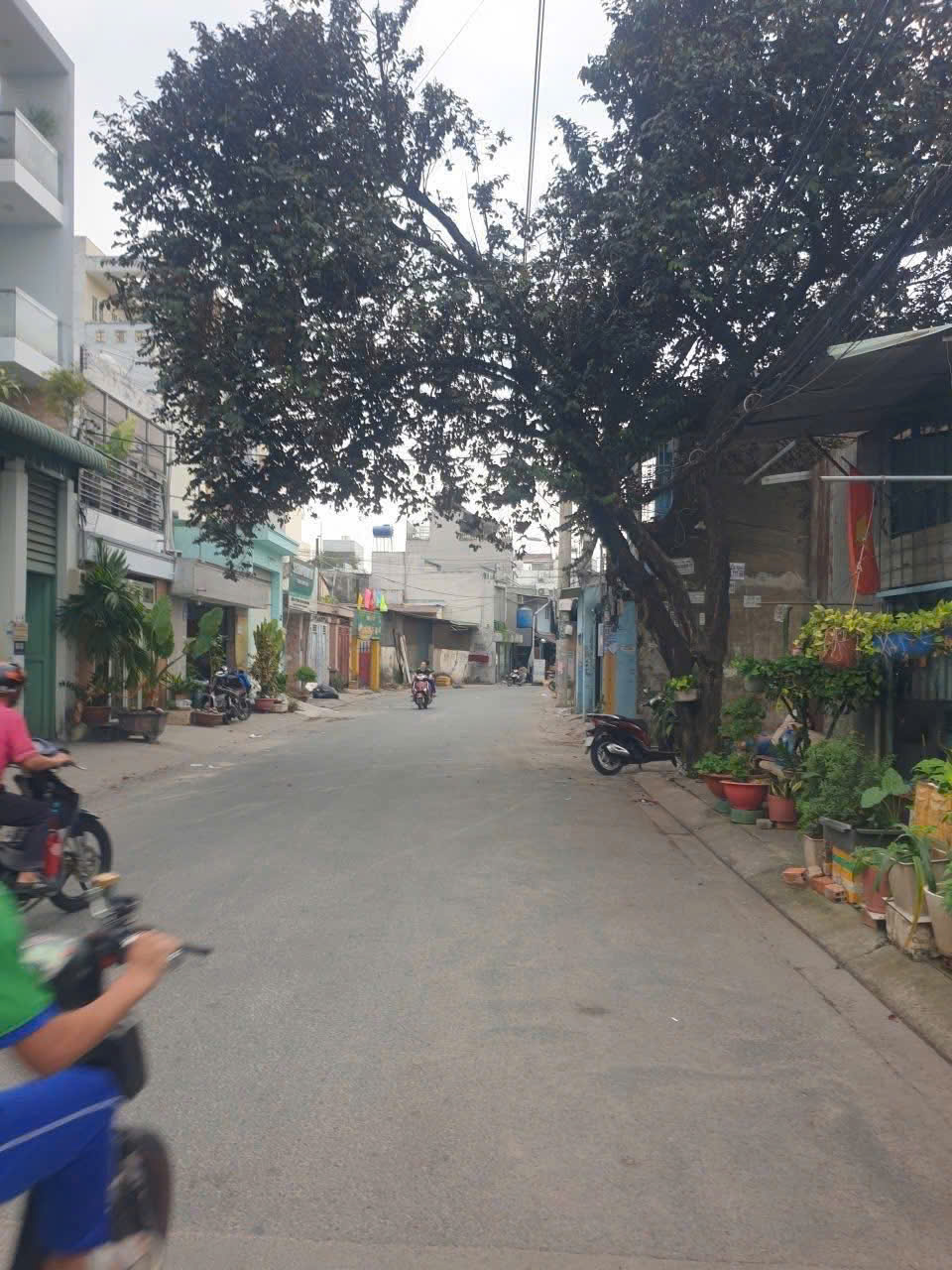 MẶT TIỀN TÂN THỚI NHẤT 02 – GIÁ CHỈ 5,2 TỶ - LÔ ĐẸP XÂY Ở NGAY! 15978340