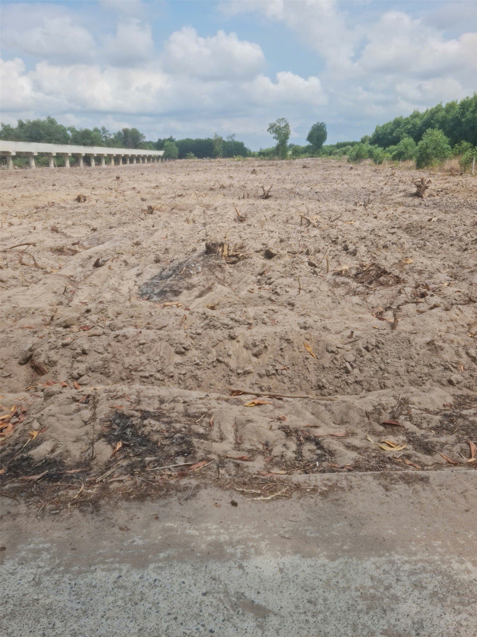 HOT ĐẤT ĐẸP- GIÁ TỐT CẦN BÁN NHANH LÔ ĐẤT TẠI huyện Đất Đỏ, tỉnh BRVT 15978341