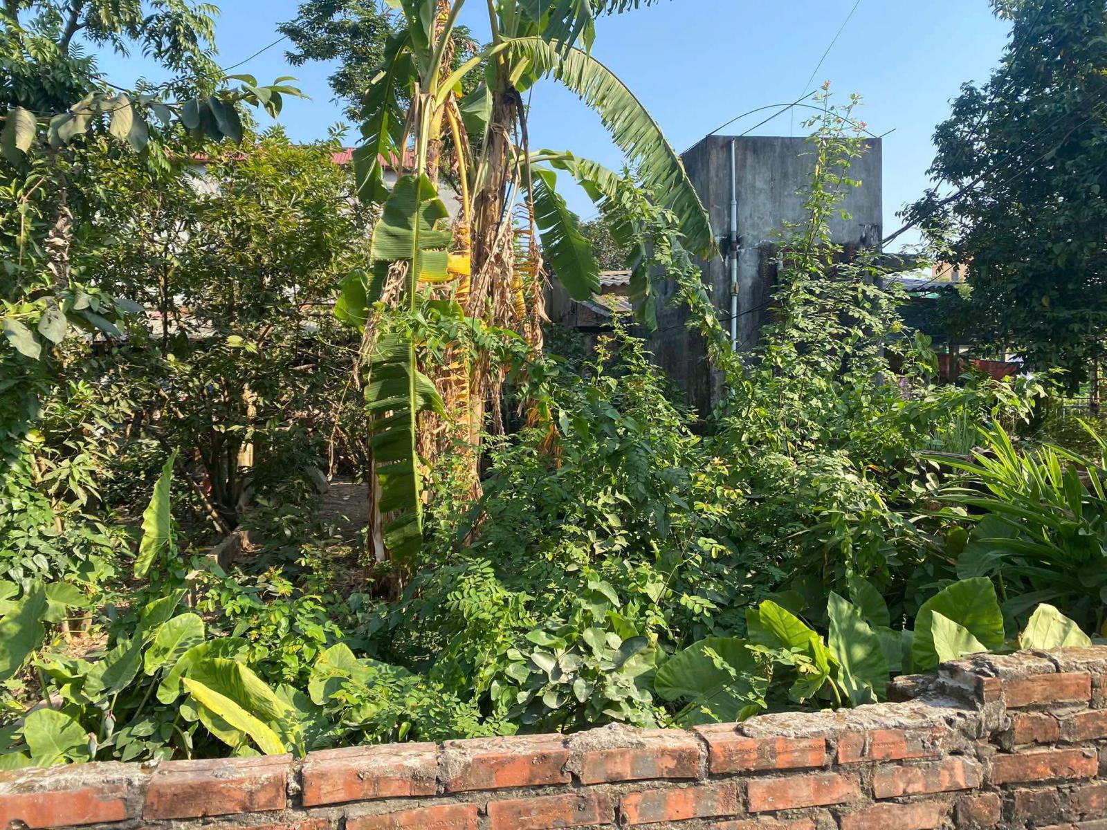 BÁN 55 m2 ĐẤT GIAO TẤT – THUẬN AN (GIA LÂM), GIÁ CHỈ 3.05 TỶ, LH 0985865658 15978361