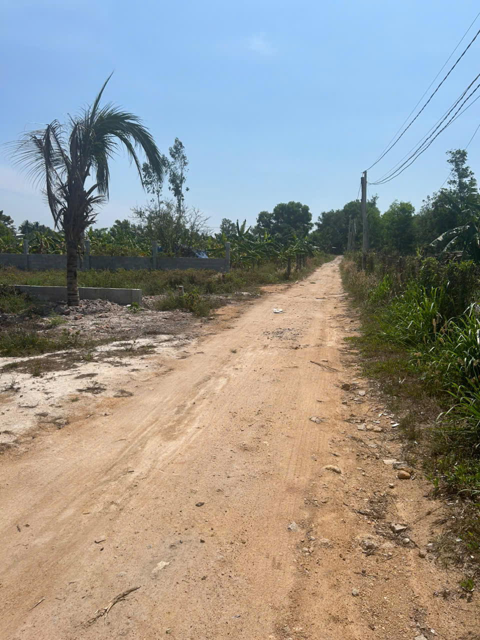 Bán 9m x 30m đất hẻm Hoàng Văn Thụ, LaGi giá đầu tư 15978367