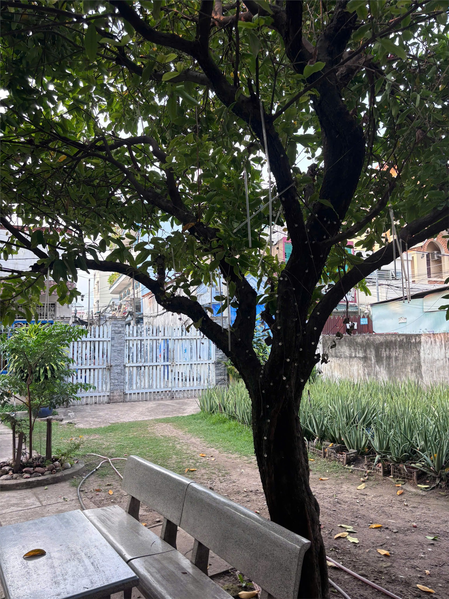 HOT HOT - Đất chính Chính Chủ Mặt tiền đường Nguyễn Ảnh Thủ, Quận 12, HCM 15978393