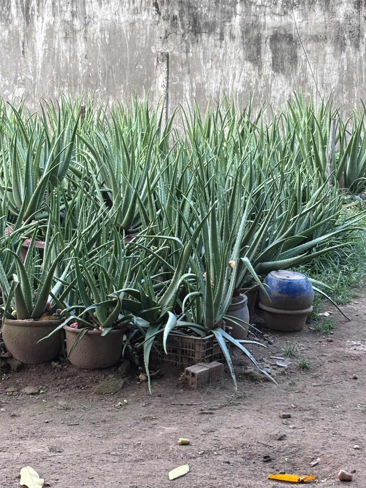 HOT HOT - Đất chính Chính Chủ Mặt tiền đường Nguyễn Ảnh Thủ, Quận 12, HCM 15978393