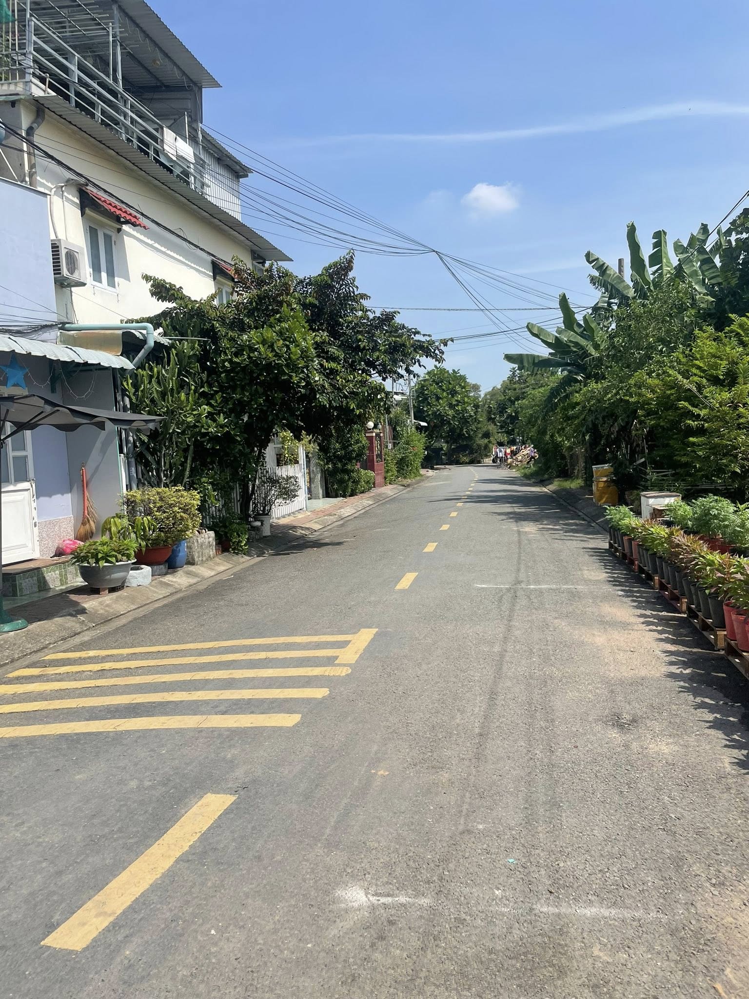 💡 Vì sao lô đất này đáng mua ở Đông Thạnh? 15978394