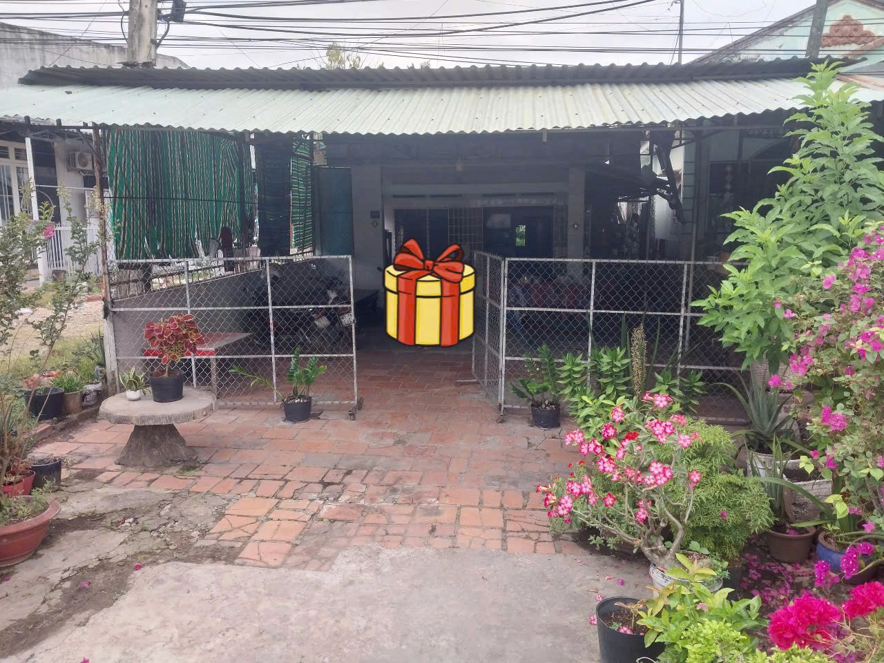 ĐẤT ĐẸP – GIÁ TỐT  – CHÍNH CHỦ CẦN BÁN 2 Lô Đất Tại Ấp Bình Trung, Xã Bình Minh, Tp Tây Ninh, Tây 15978398