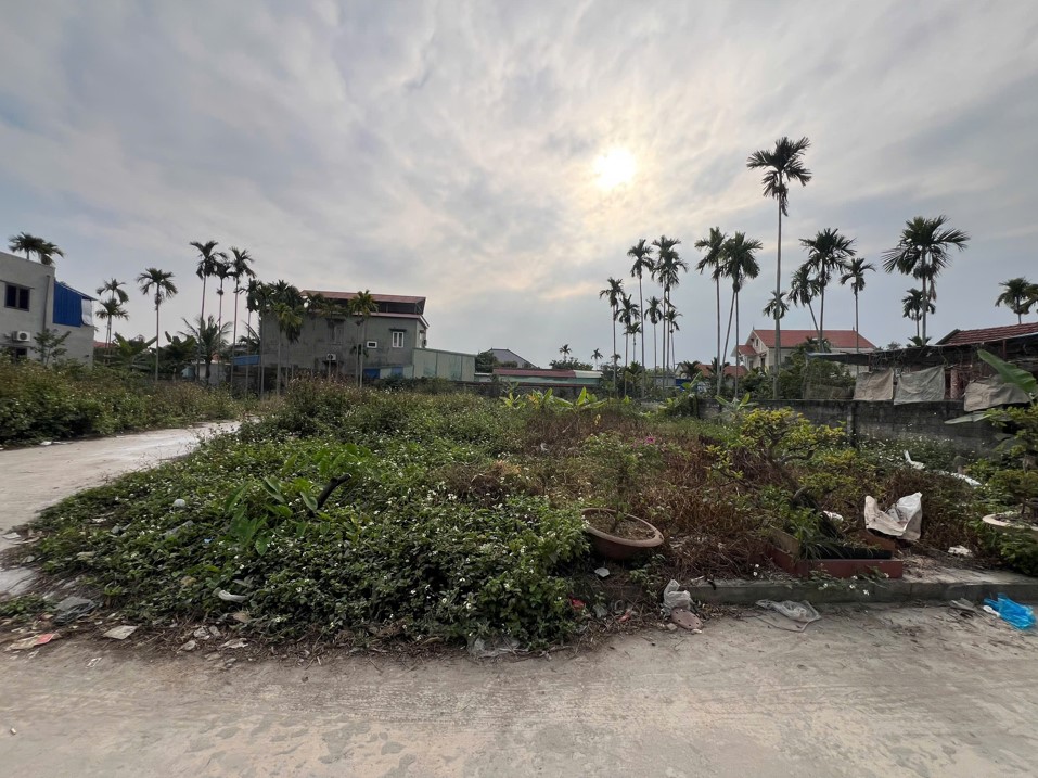 BÁN ĐẤT PHÂN LÔ PHỤC LỄ – THUỶ NGUYÊN, HẢI PHÒNG 15978574