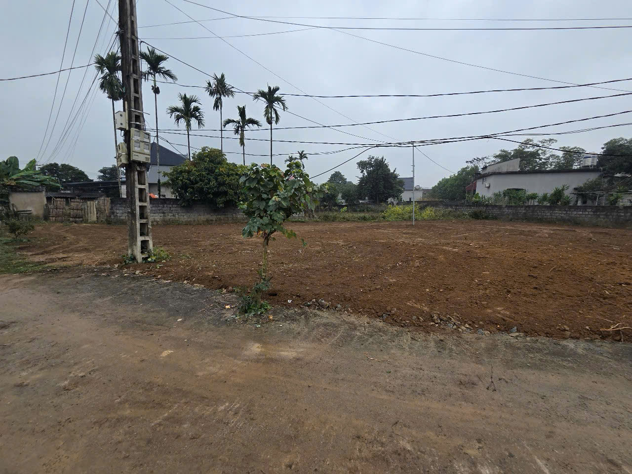 🔥 3XX TRIỆU – CÓ NGAY LÔ ĐẤT TRUNG TÂM THỊ TRẤN 15978640