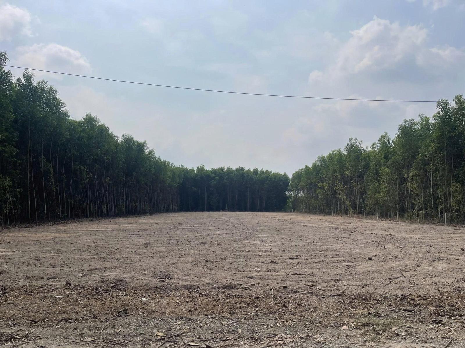 Bán Đất Khu Dân Cư Phước An Nhơn Trạch Giá Rẻ 15978666