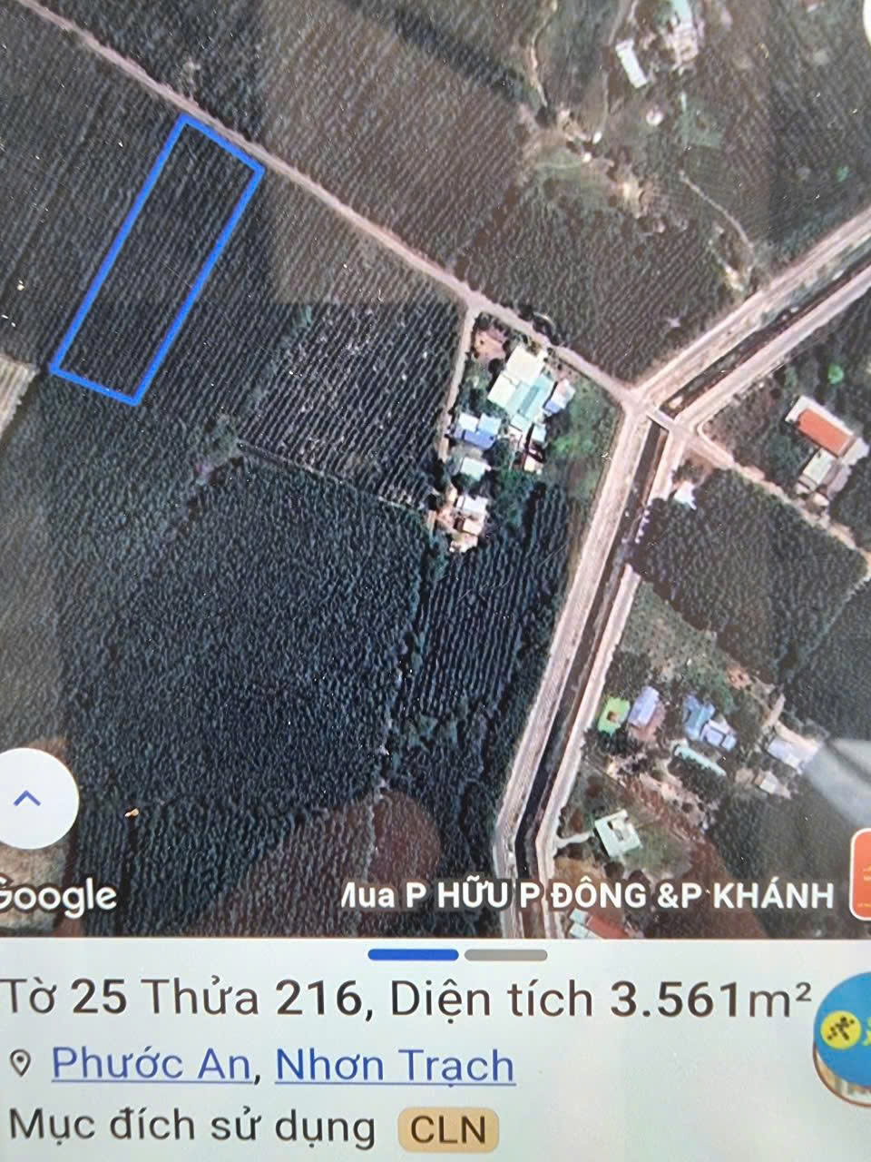 Bán Đất Khu Dân Cư Phước An Nhơn Trạch Giá Rẻ 15978666