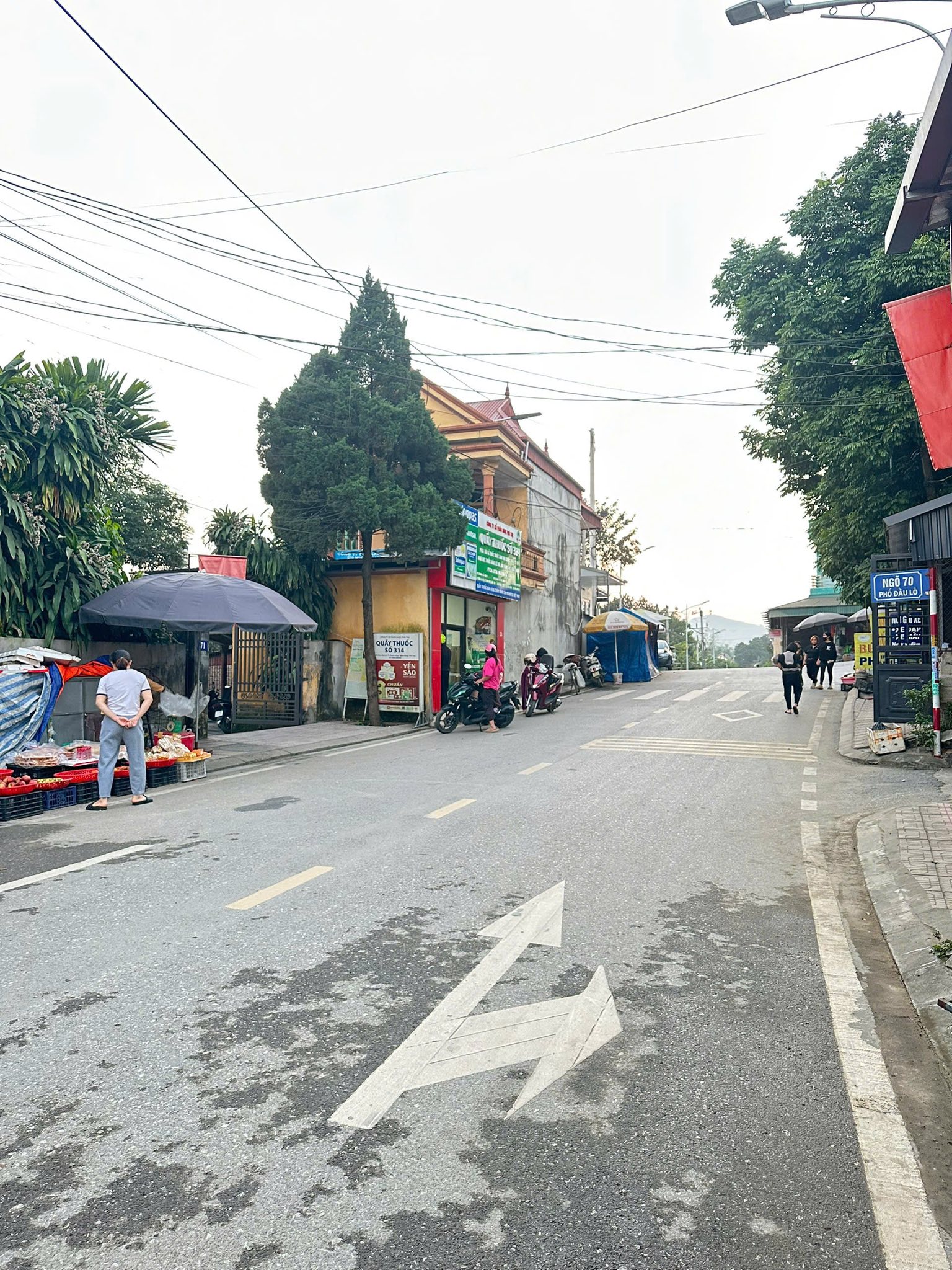 Bán lô đất 100m2 ( 4*25m) Thuộc Khu Đầu Lô -  Đoan Hùng -  Phú Thọ 15978714