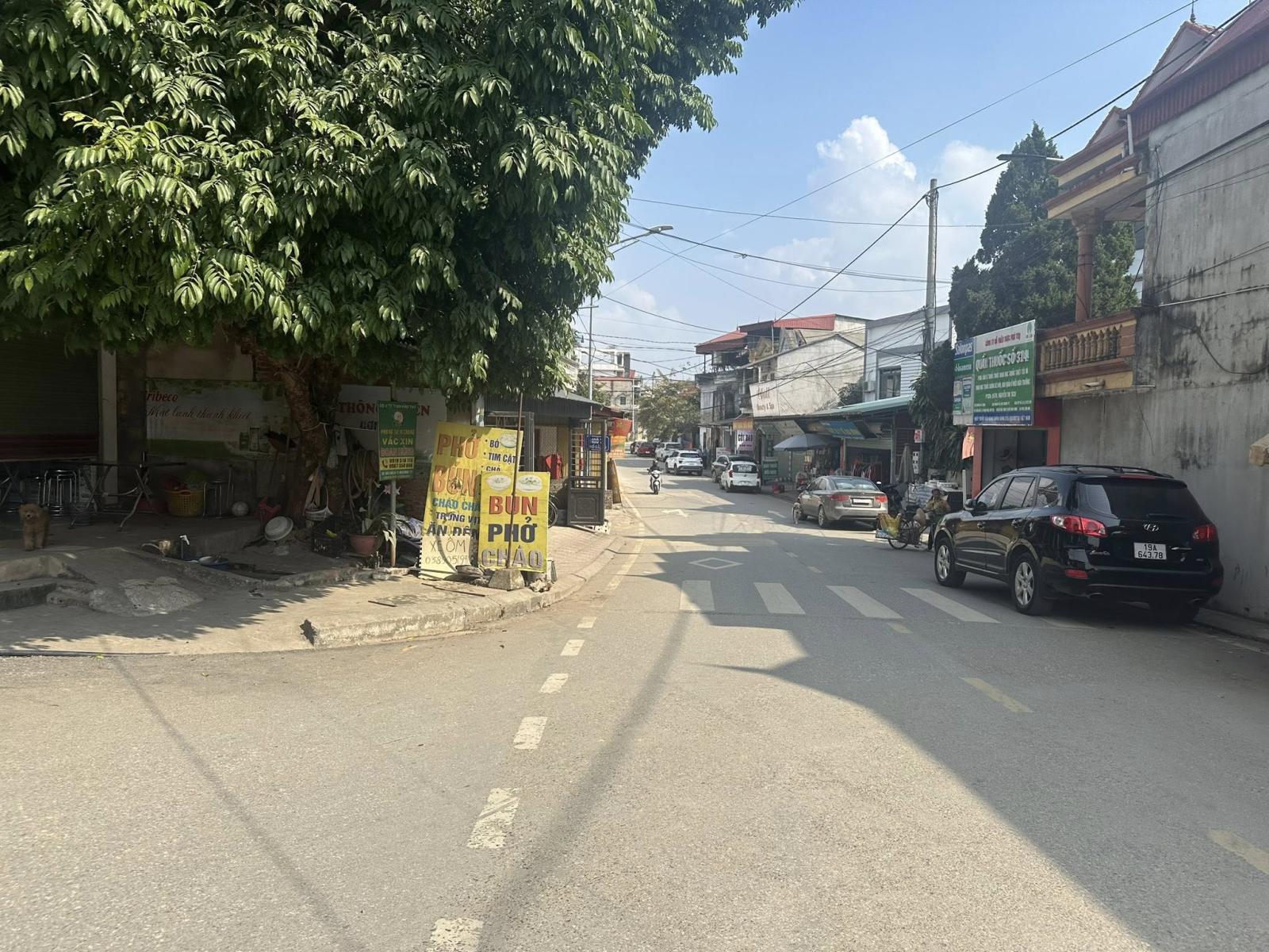 Bán lô đất 100m2 ( 4*25m) Thuộc Khu Đầu Lô -  Đoan Hùng -  Phú Thọ 15978714