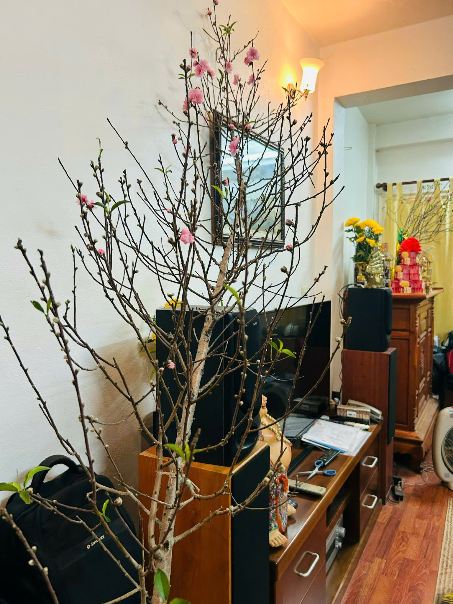 CHO THUÊ MẶT BẰNG KINH DOANH HOẶC ĐỂ Ở -VỊ TRÍ ĐẸP, TIỆN LỢI TẠI PHỐ THÀNH CÔNG, PHƯỜNG GIẢNG VÕ, 15978735