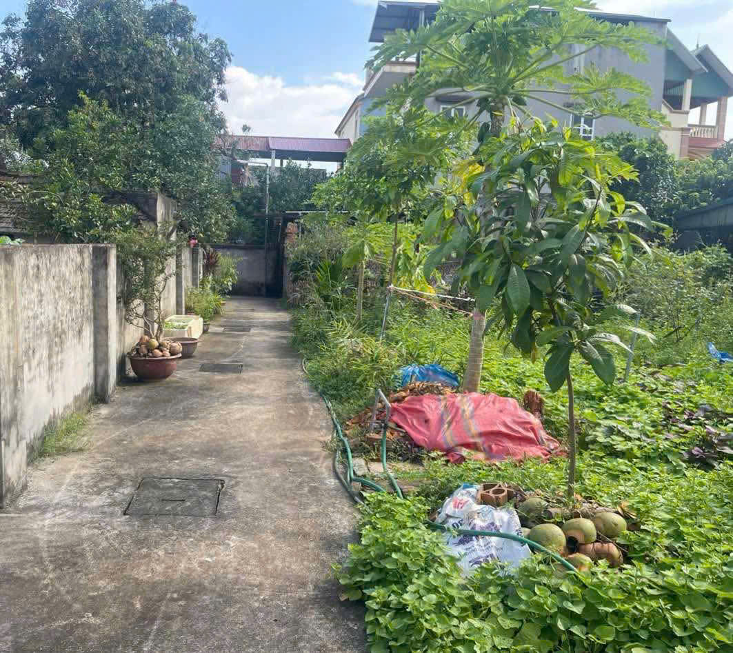 CẦN BÁN 41,2 M2 ĐẤT DƯƠNG XÁ - THUẬN AN, GIÁNH 2.98 TỶ, LH 0985865658 15978771