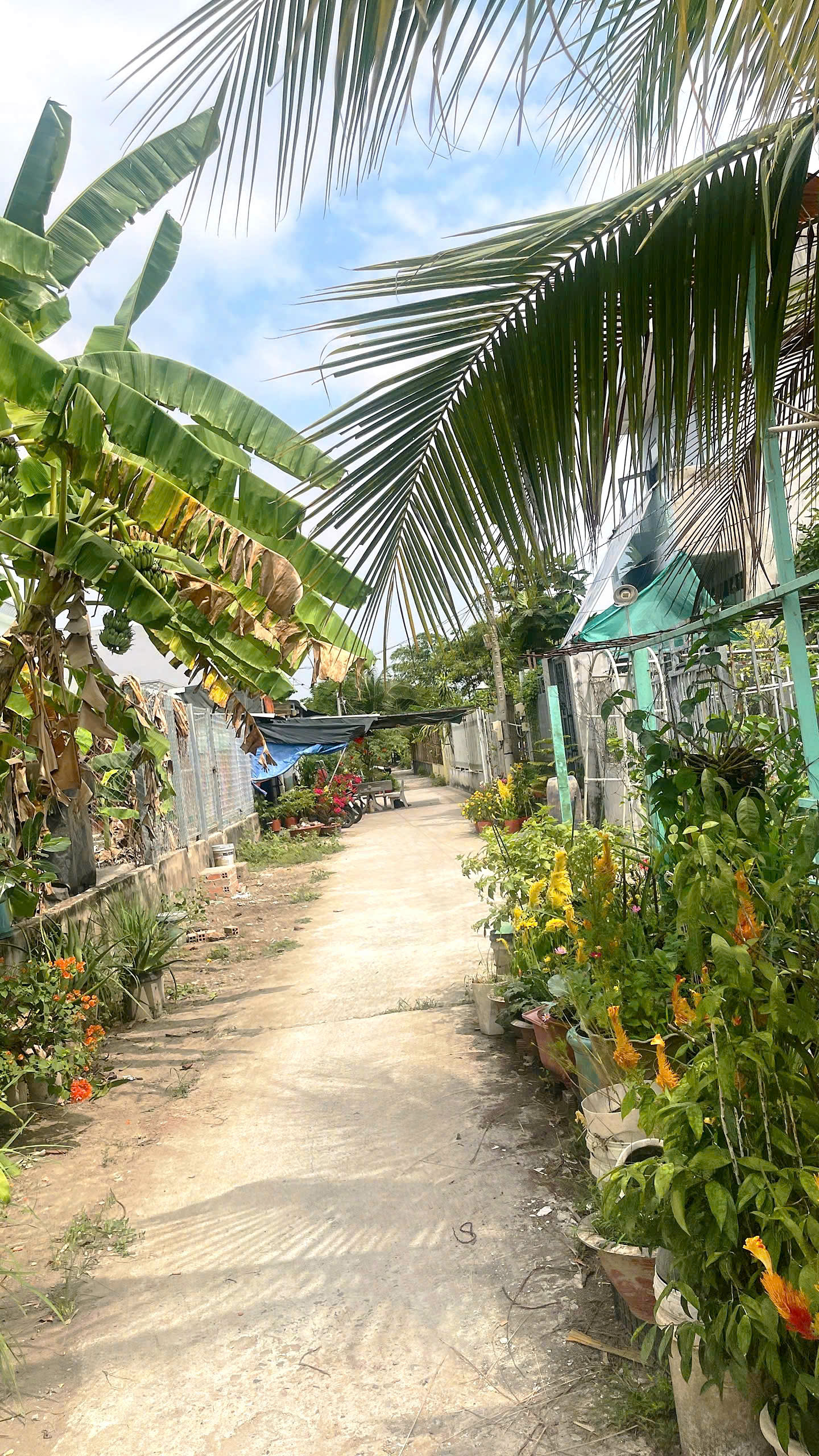 CẦN BÁN 250M2 ĐẤT THỔ CƯ HẺM BA GÁC GẦN QL1A 15978805