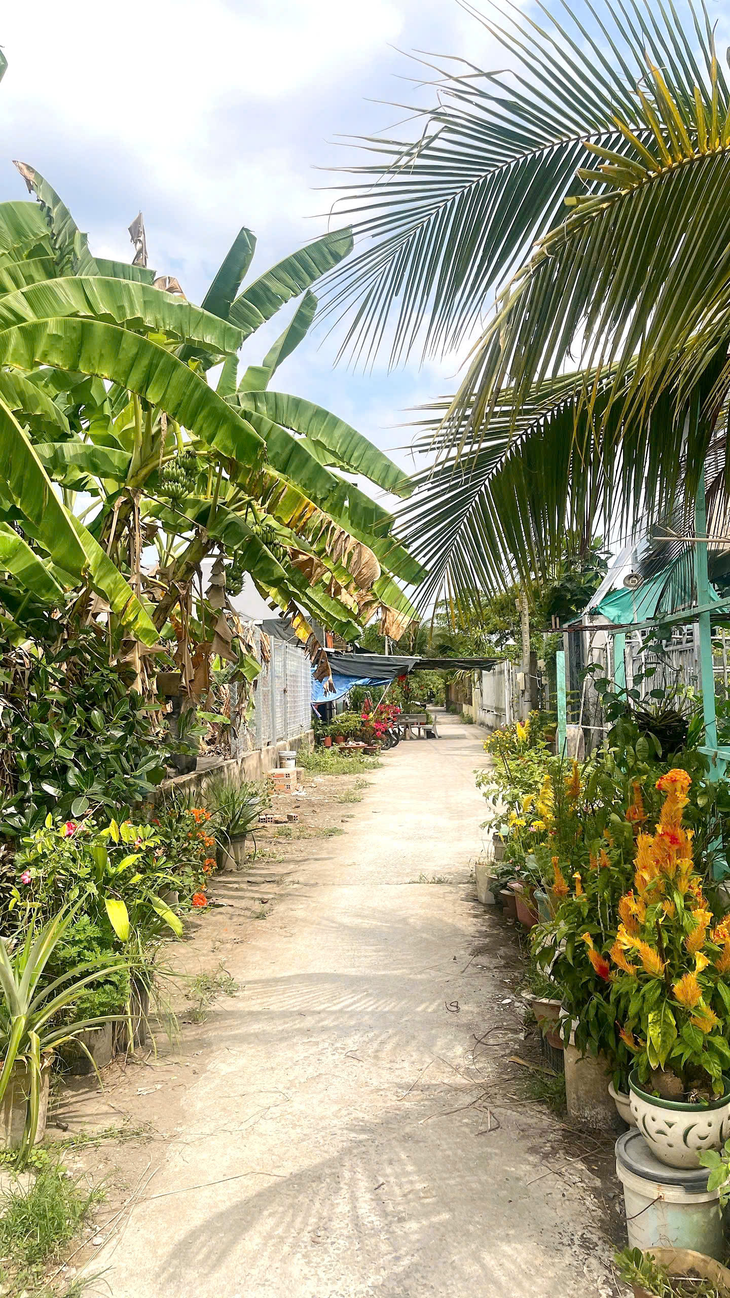 CẦN BÁN 250M2 ĐẤT THỔ CƯ HẺM BA GÁC GẦN QL1A 15978805