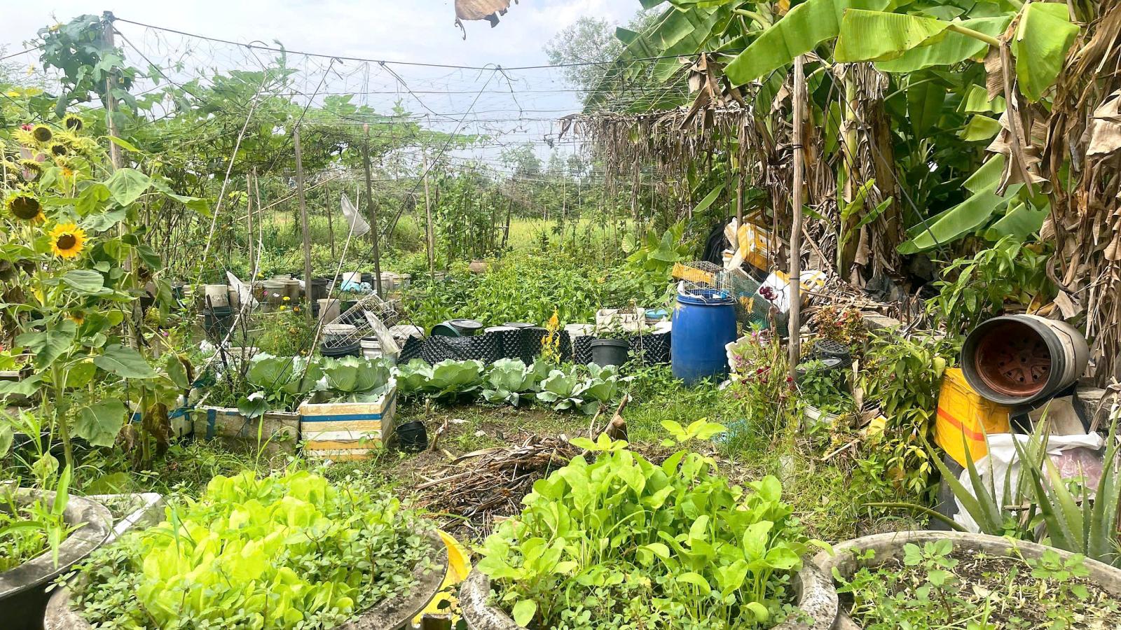 CẦN BÁN 250M2 ĐẤT THỔ CƯ HẺM BA GÁC GẦN QL1A 15978805